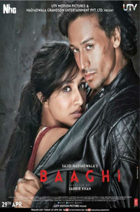 دانلود زیرنویس فارسی فیلم Baaghi